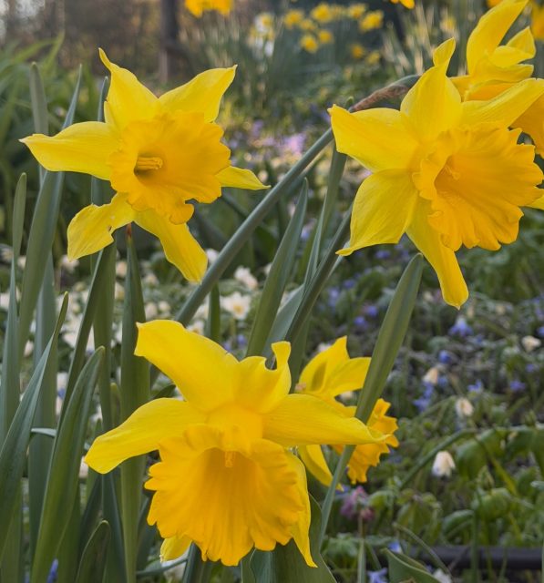 Sometimes all you need is silence. 
My heart is so broken these days. I try to come back as soon as possible. 
— Kat Madleine | The Voice of 90s Revival 🌸
Musicologist & Producer redefining the sound of resilience.

#brokenheart #saygoodbye #loveofmylife