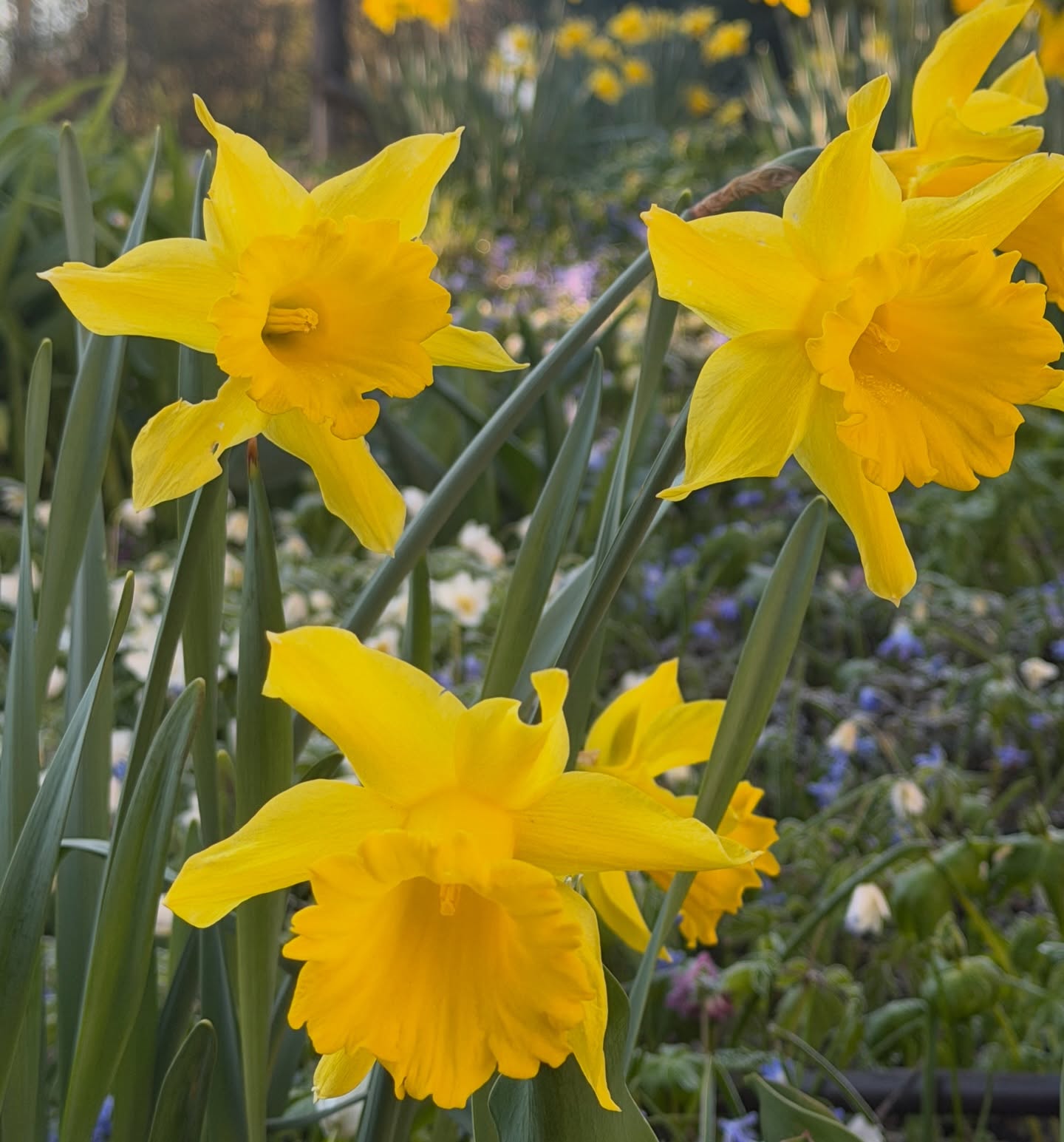 Sometimes all you need is silence. 
My heart is so broken these days. I try to come back as soon as possible. 
— Kat Madleine | The Voice of 90s Revival 🌸
Musicologist & Producer redefining the sound of resilience.

#brokenheart #saygoodbye #loveofmylife